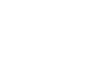 Logo husqvarna Blanc