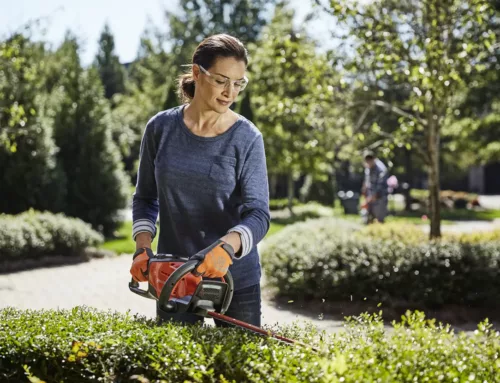 Les usages d’un taille haie à batterie : un outil polyvalent pour le jardin